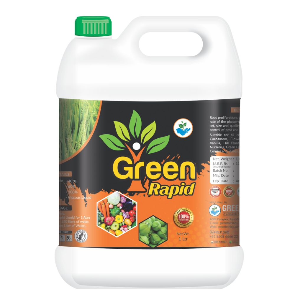 Green Rapid